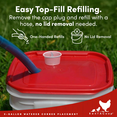 RentACoop top-fill design makes refilling quick without removing the lid.