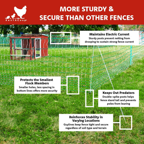RentACoop triple-braided wire offers durable protection for poultry enclosures.