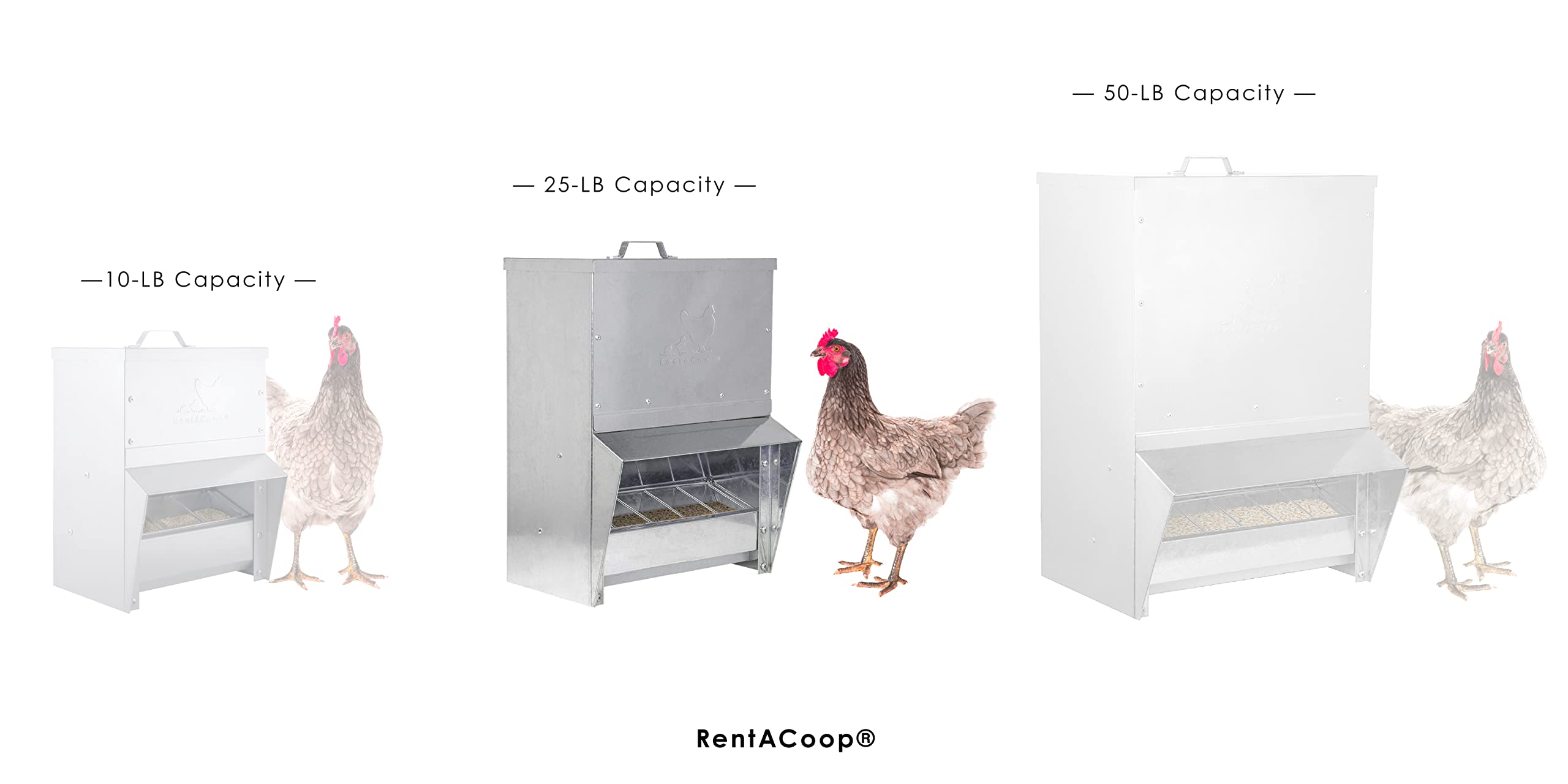 RentACoop trough feeder mounted inside a coop for tidy feeding.