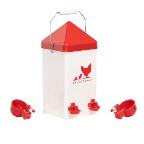 RentACoop waterer 1-gallon in use, ensuring steady water for your flock.
