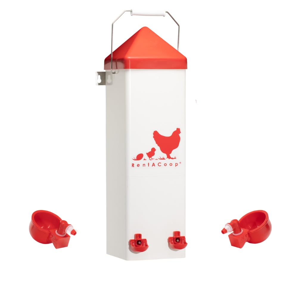 RentACoop waterer with auto-fill cups provides steady fresh water.