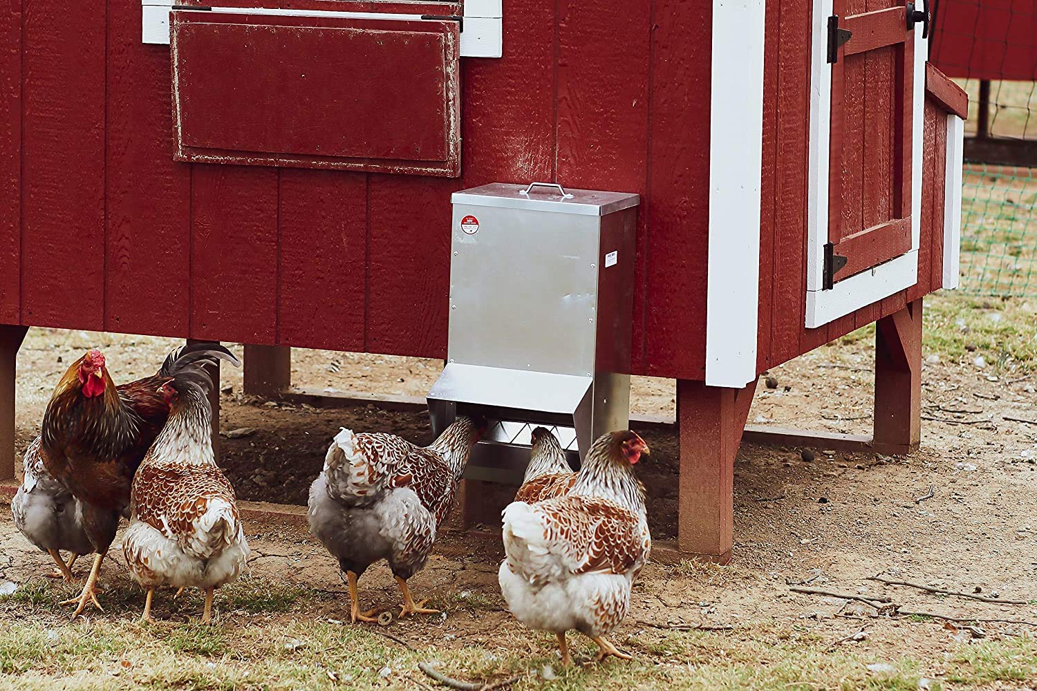 RentACoop weatherproof design endures year-round outdoor use.