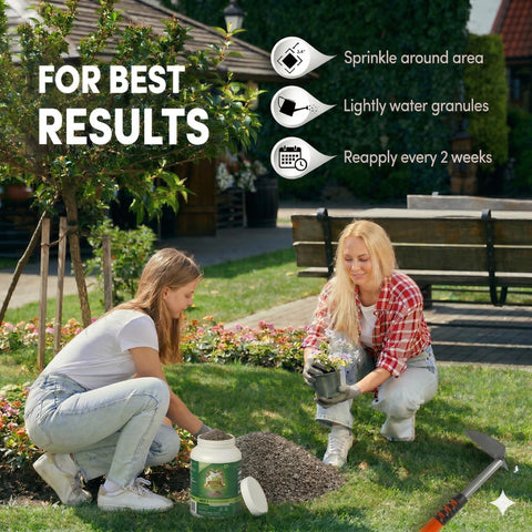 Repellex granules applied around flower beds deter rabbits.