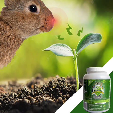 Repellex Systemic Granular application near watering area for safe use