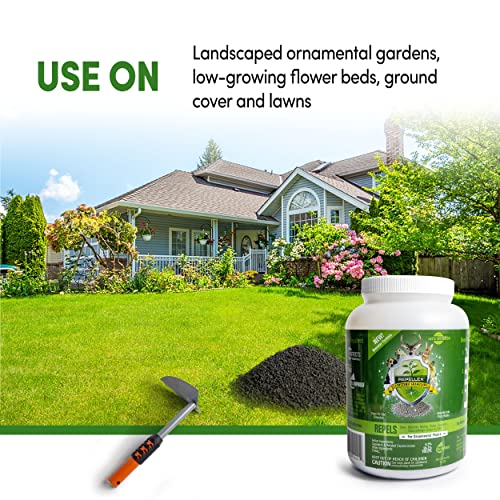 Repellex Systemic Granular dosed-application demonstrates soil coverage