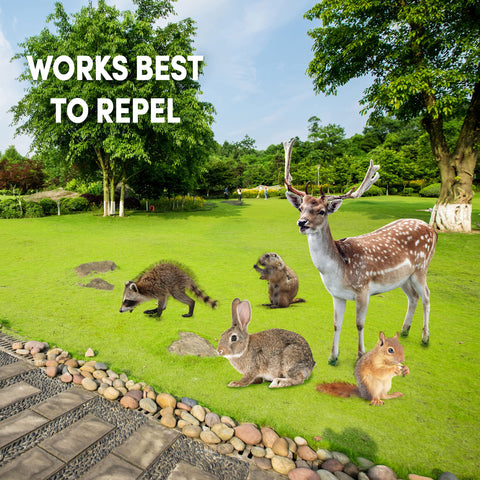 Repellex Systemic Granular yard usage supports pest deterrence in outdoor spaces