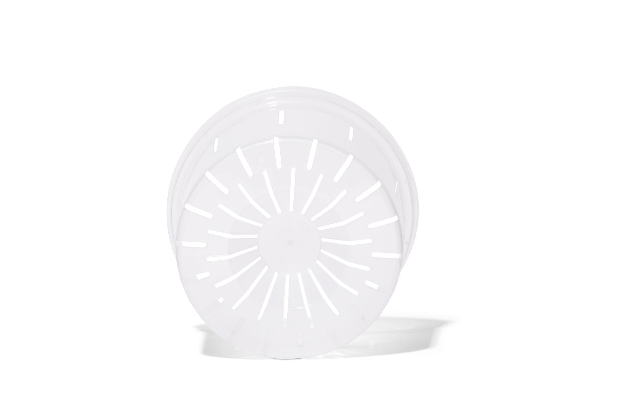 rePotme clear orchid pot highlights root color for monitoring and care.