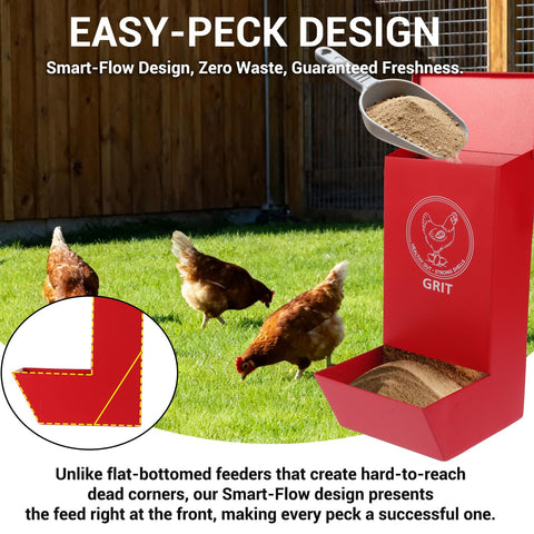 Reptilux grit feeder designed for easy digestion support