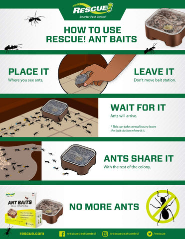 RESCUE! Ant Baits gel formula stays contained, reducing spill risk during use.