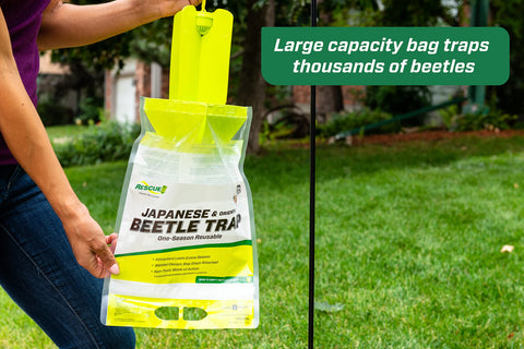 RESCUE! Attractant cartridge lasts a full season for the trap