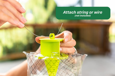 RESCUE! Big Bag Fly Trap uses water activation to trap flies quickly