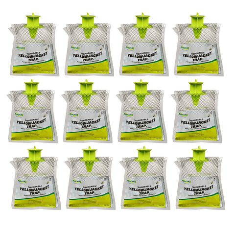 RESCUE! disposable yellowjacket trap setup outdoors to reduce buzzing near gatherings
