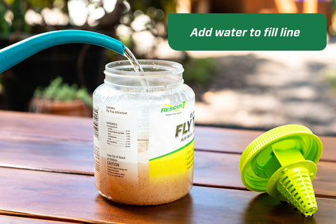 RESCUE! Outdoor Fly Trap water-filled capture chamber traps flies.