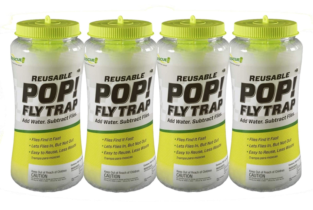 RESCUE! POP! fly trap front view showing compact design for homes.