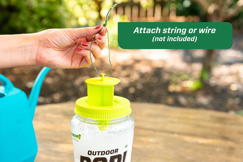 RESCUE! POP! Fly Trap placed far from living areas to minimize nuisance odors.