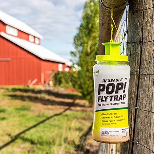 Durable recyclable plastic body of RESCUE! POP! fly trap ready for reuse.