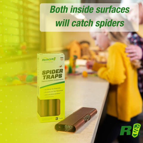 RESCUE! Spider Trap double-sided glue demonstrates extended life per unit