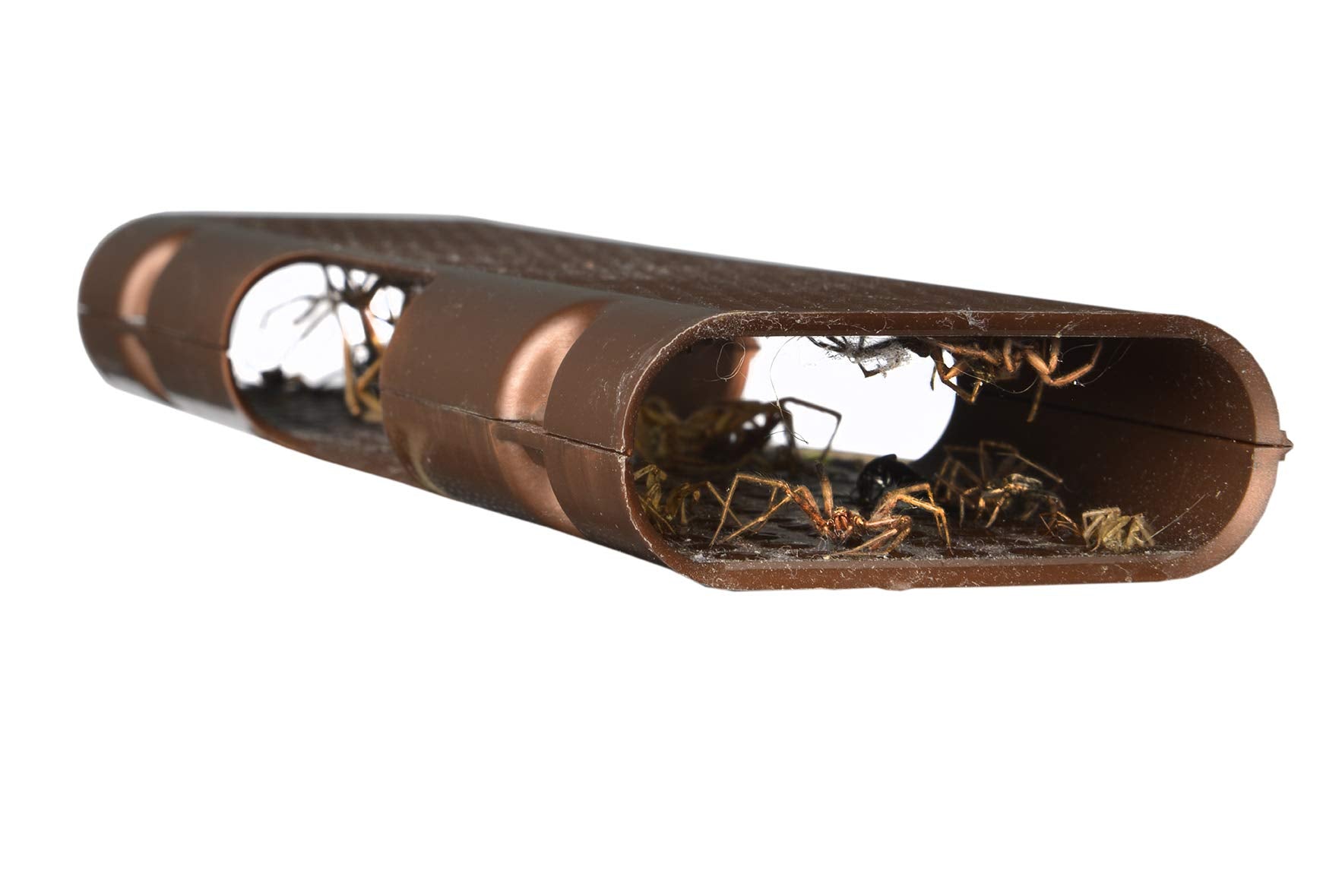RESCUE! Spider Trap four-entrance design attracts spiders from multiple routes