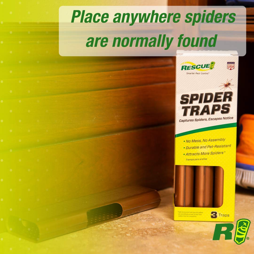 RESCUE! Spider Trap glue-dots close-up shows a durable trapping surface