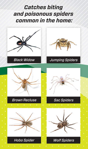 RESCUE! Spider Trap in-home decor usage blends with your space