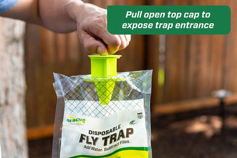 RESCUE! trap cap entry shows water-activated bait in use outdoors.