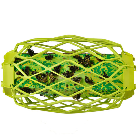 RESCUE! TrapStik front view showing lure colors attracting carpenter bees.