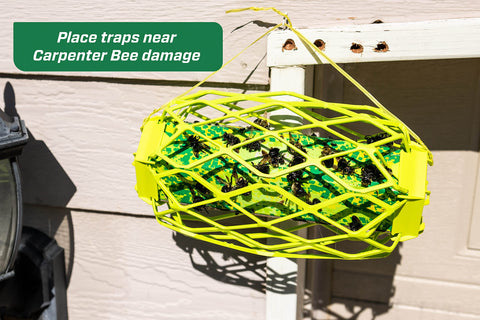 RESCUE! TrapStik side view highlighting weatherproof design for outdoor use.