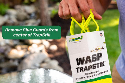 RESCUE! VisiLure TrapStik features glue guards to reduce non-target catches.