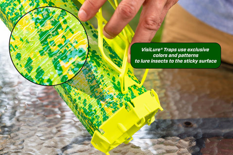 RESCUE! VisiLure TrapStik targets mud daubers to protect exterior spaces