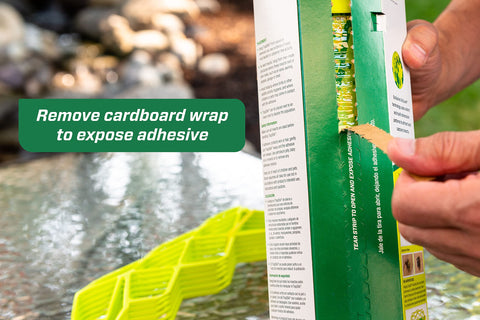 RESCUE! Visilure TrapStik sticky surface traps pests on contact