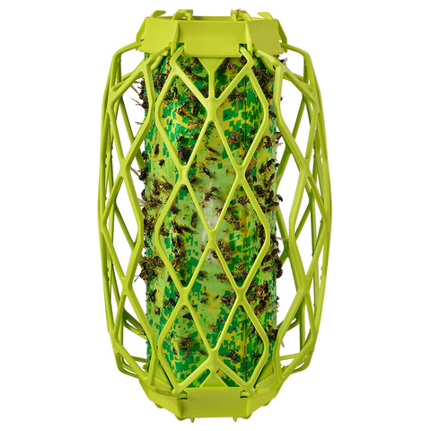 RESCUE! Visilure TrapStik for wasps attracts and traps pests safely outdoors