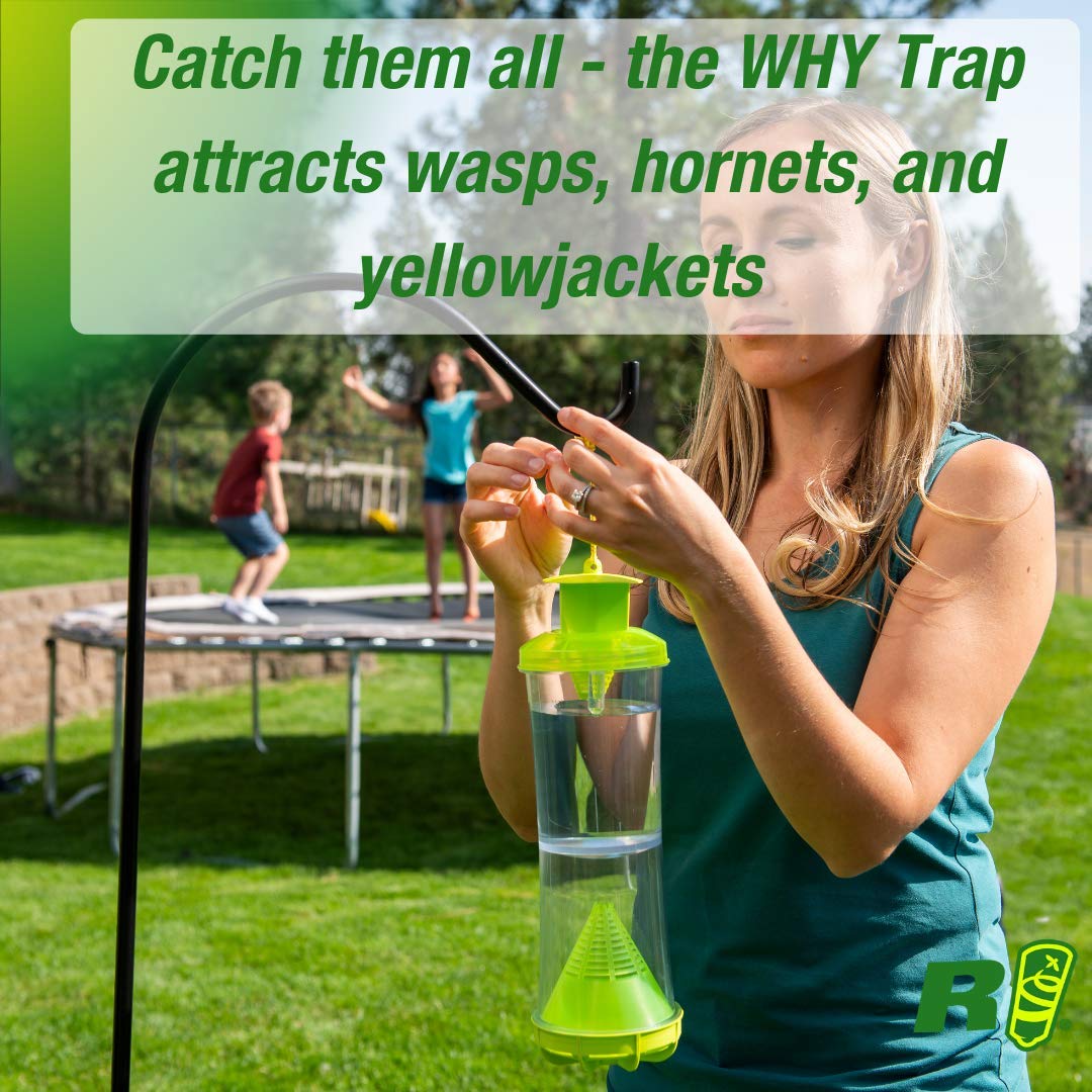 RESCUE! WHY Trap lure inside boosts non-toxic attraction for outdoor wasp control.
