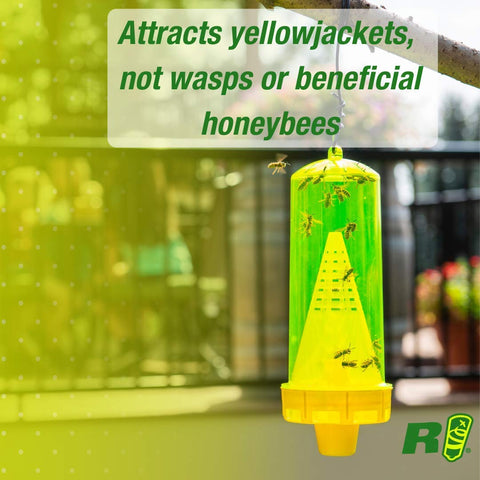 RESCUE! Yellowjacket attractant usage-in-trap guide shows simple installation steps.