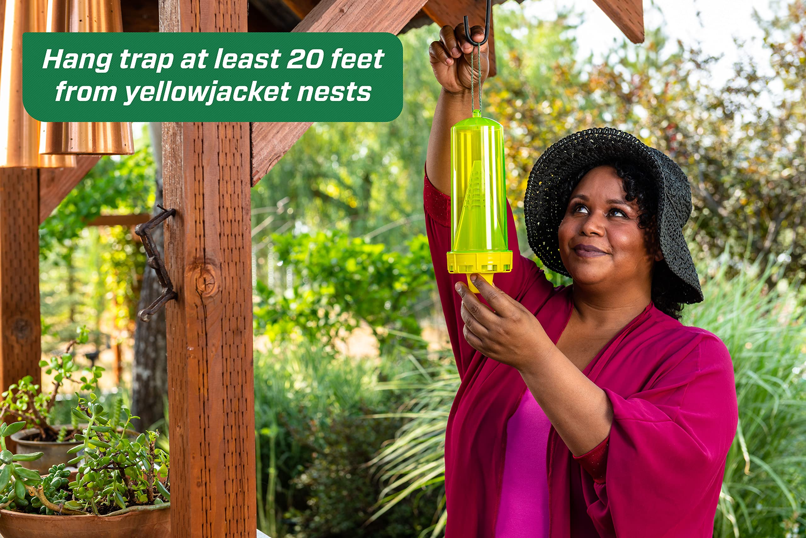 RESCUE! yellowjacket trap interior shows dehydration-based capture mechanism