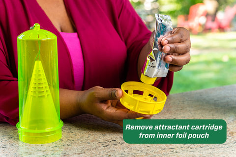RESCUE! Trap placed outdoors to monitor yellowjacket activity.