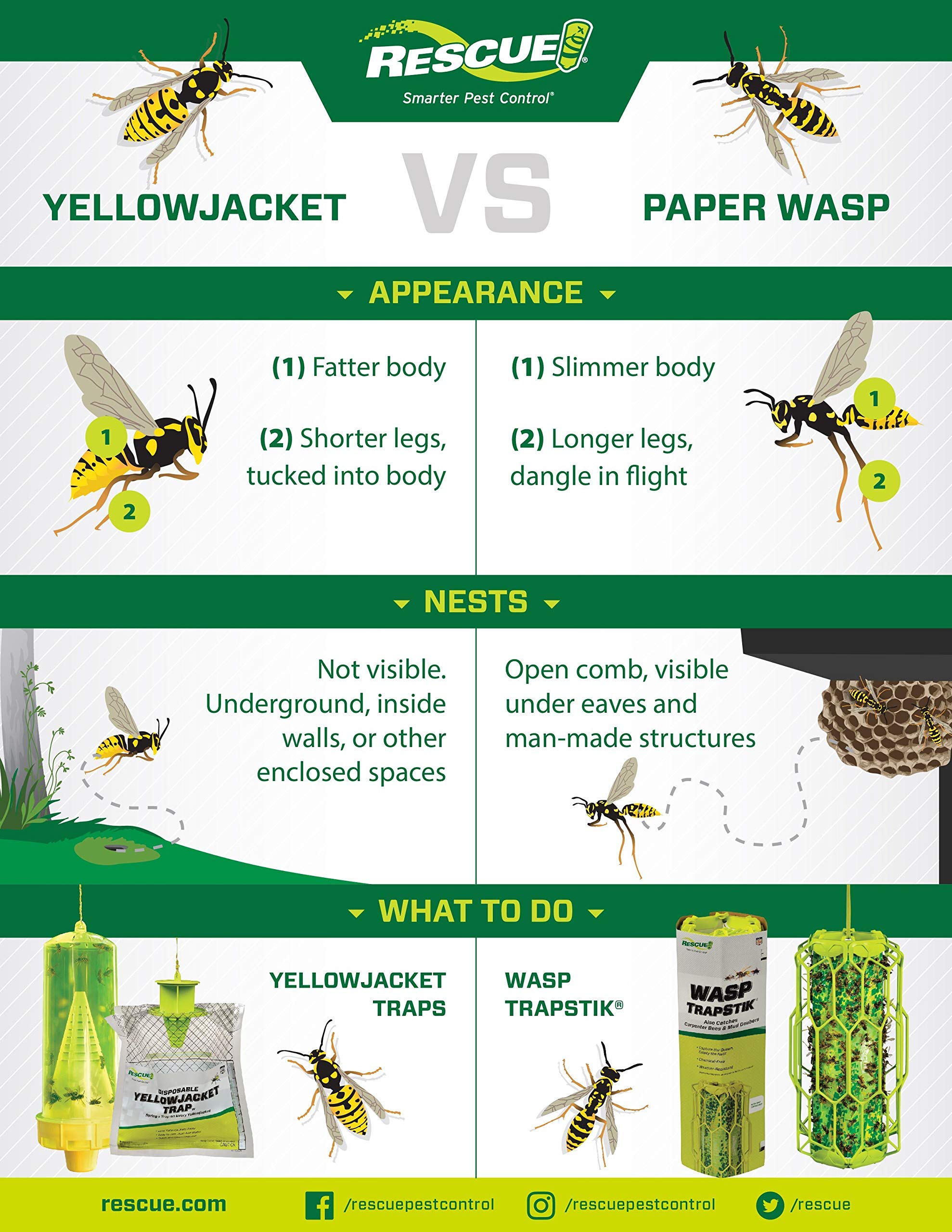 RESCUE! Yellowjacket trap setup illustration demonstrates quick deployment.