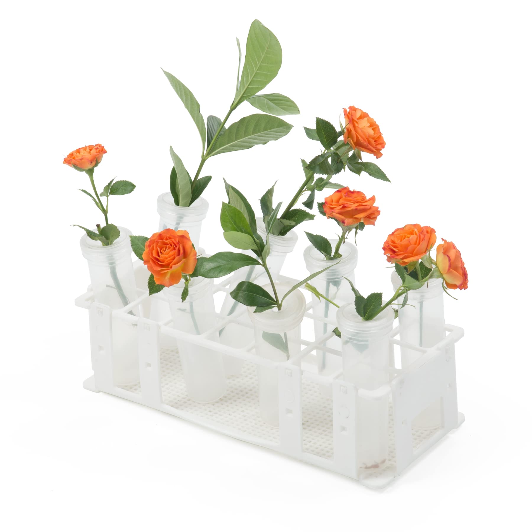 RESTCLOUD butterfly-rearing accessory keeps workspace tidy and functional