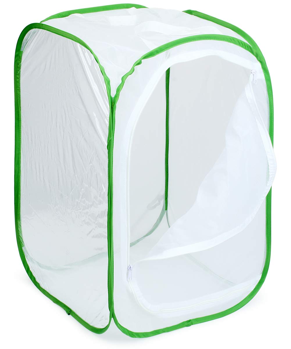 RESTCLOUD clear vinyl window for easy observation of transformations