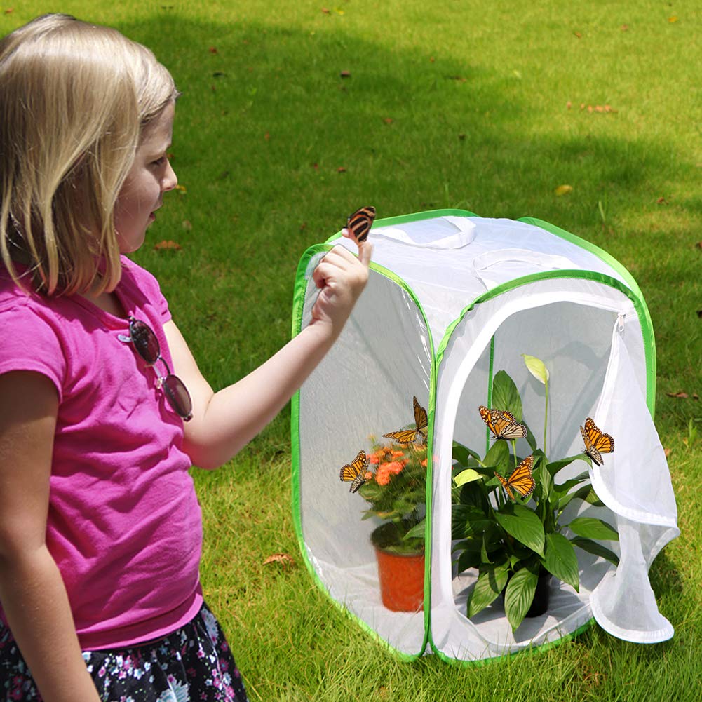 RESTCLOUD expanded terrarium with large dimensions for caterpillars