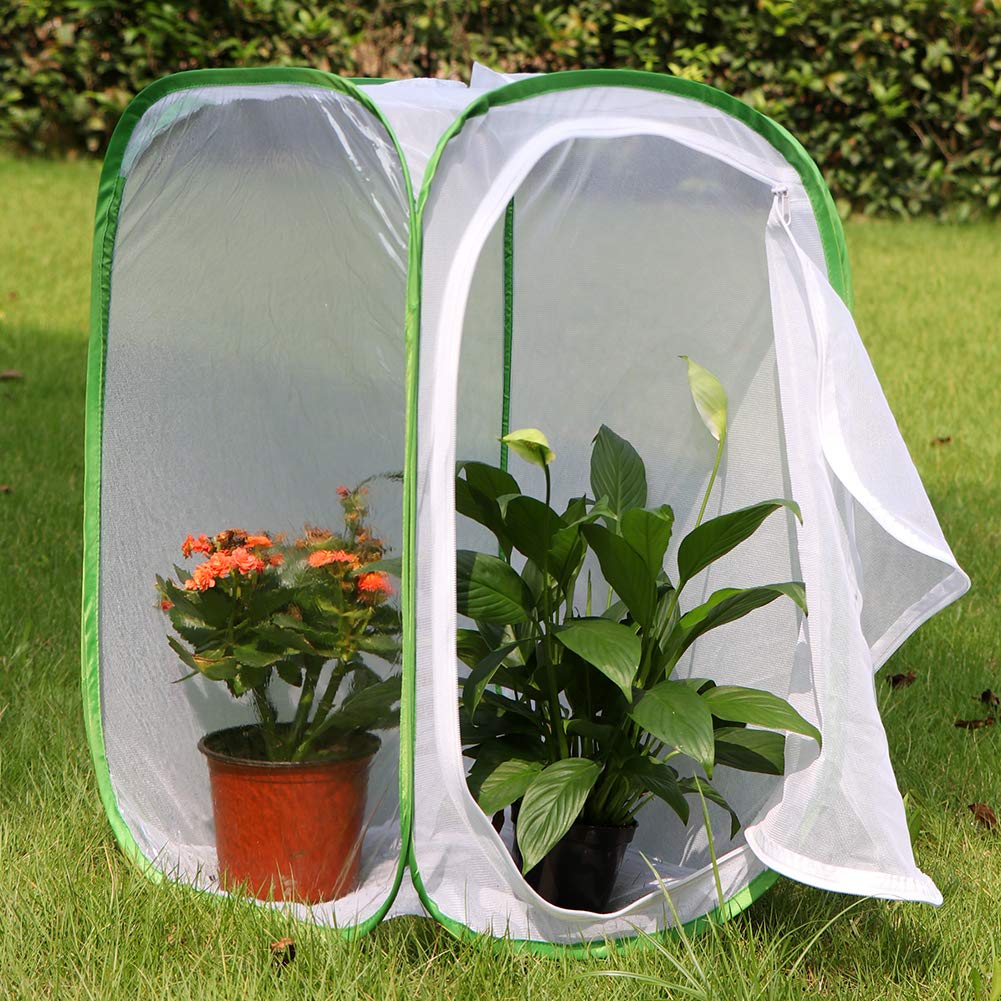 RESTCLOUD five-mesh-panel design promotes airflow for healthy growth