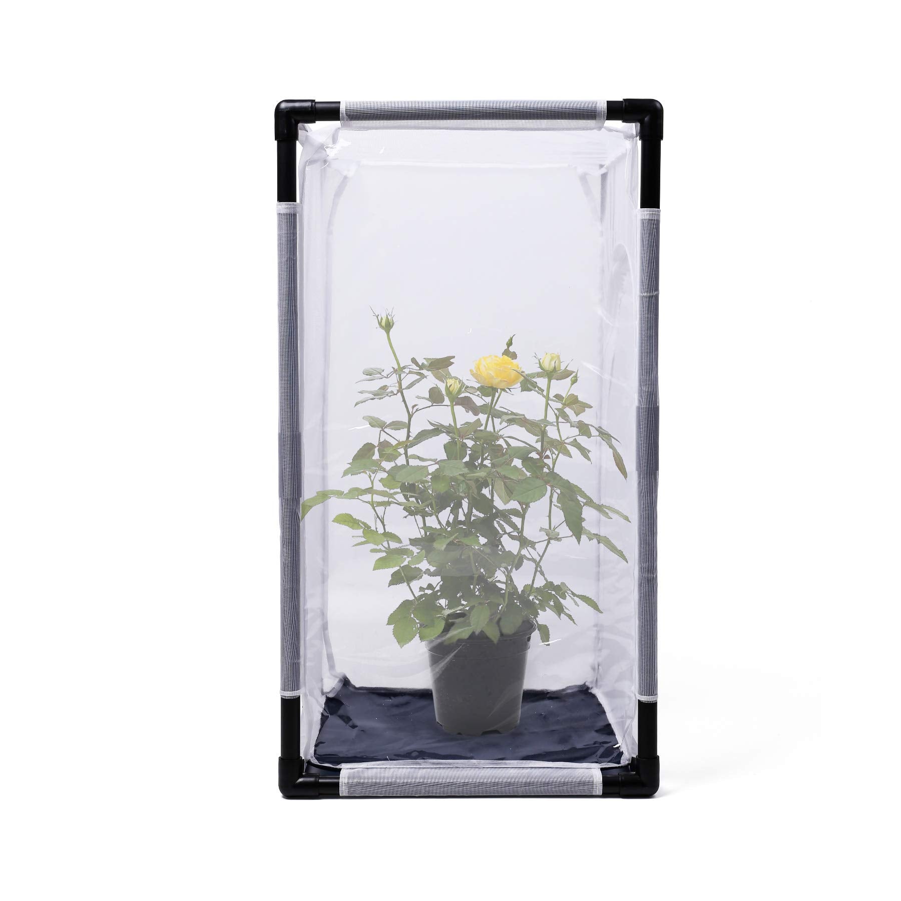 RESTCLOUD Monarch Cage large opening zipper provides easy feeding and release.