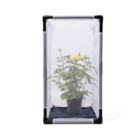 RESTCLOUD Monarch Cage large opening zipper provides easy feeding and release.