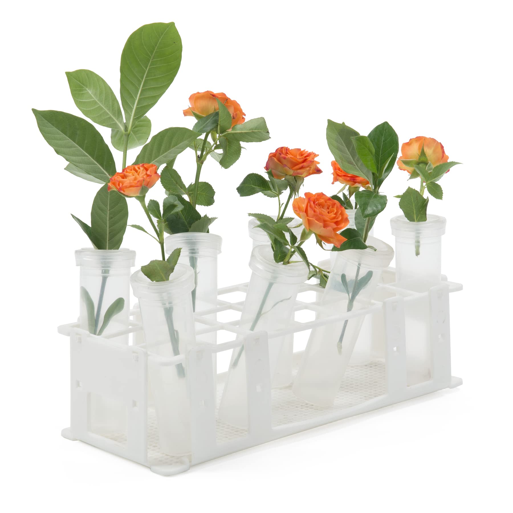 RESTCLOUD monarch chrysalis placement tip supports careful chrysalis handling