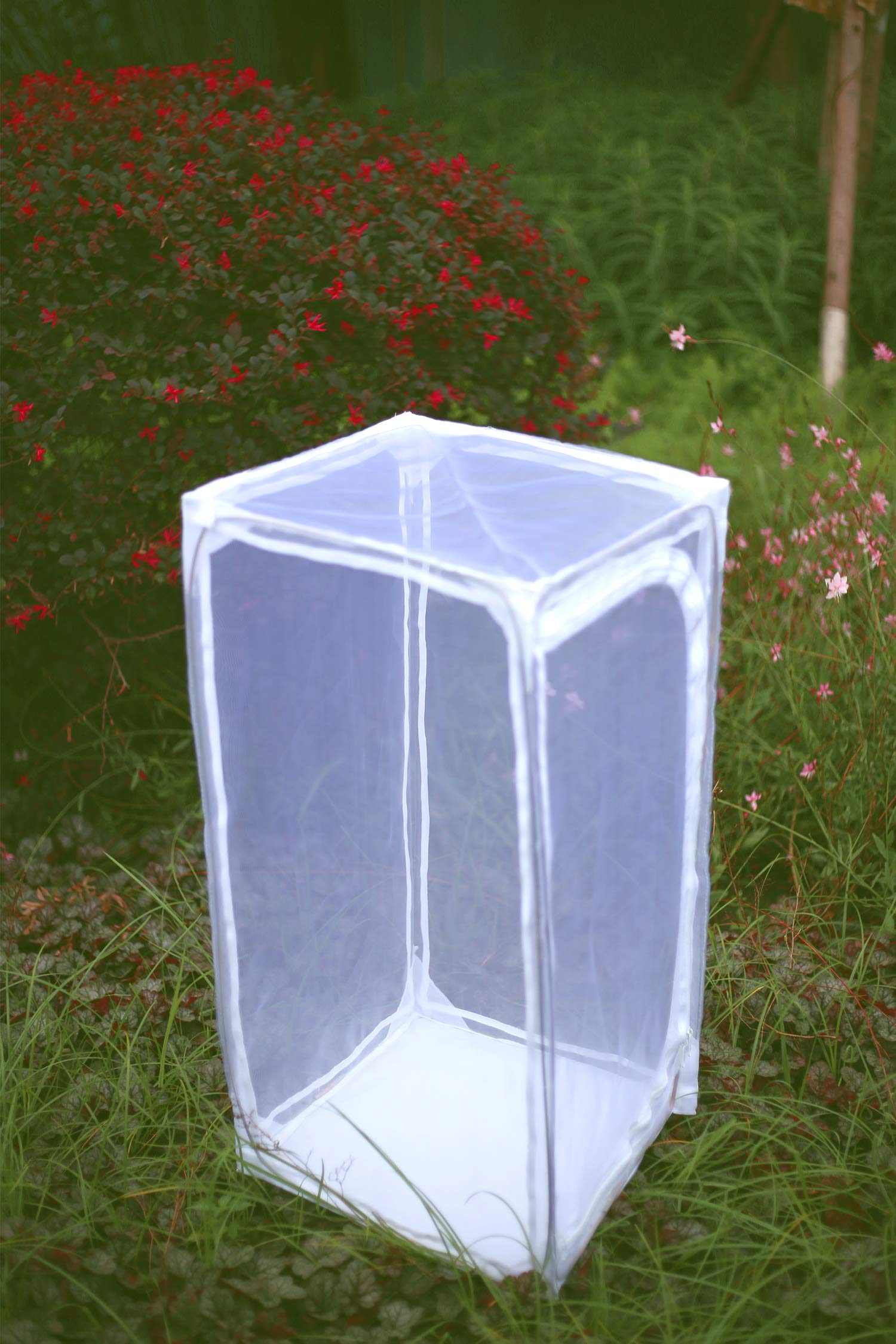 RESTCLOUD Monarch Habitat mesh panels provide breathable airflow for larvae.