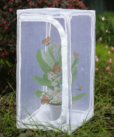 RESTCLOUD Monarch Habitat outdoor cage shows weather-resistant protection for life cycle care.