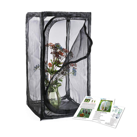 RESTCLOUD monarch habitat setup offers a sturdy, portable enclosure for butterfly rearing.