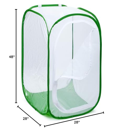 RESTCLOUD Monarch Habitat side-door access supports easy feeding and release.