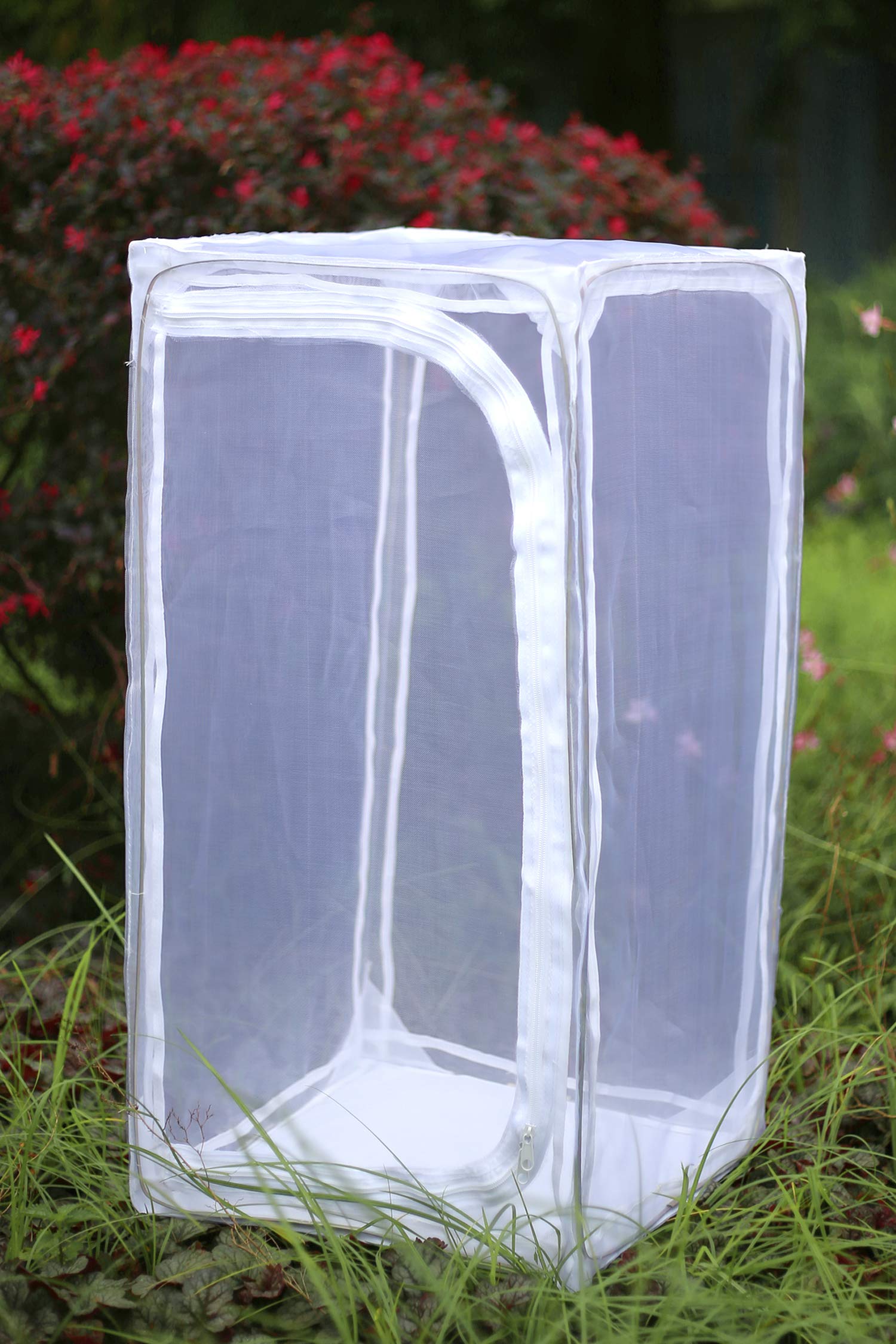 RESTCLOUD Monarch Habitat side door offers convenient access for feeding and care.