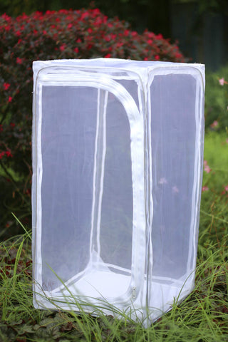 RESTCLOUD Monarch Habitat side door offers convenient access for feeding and care.
