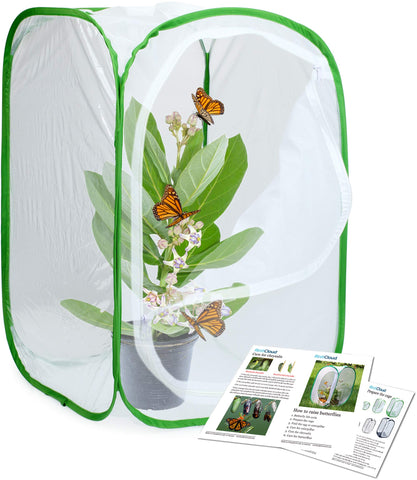 RESTCLOUD pop-up butterfly habitat cage for quick setup and viewing